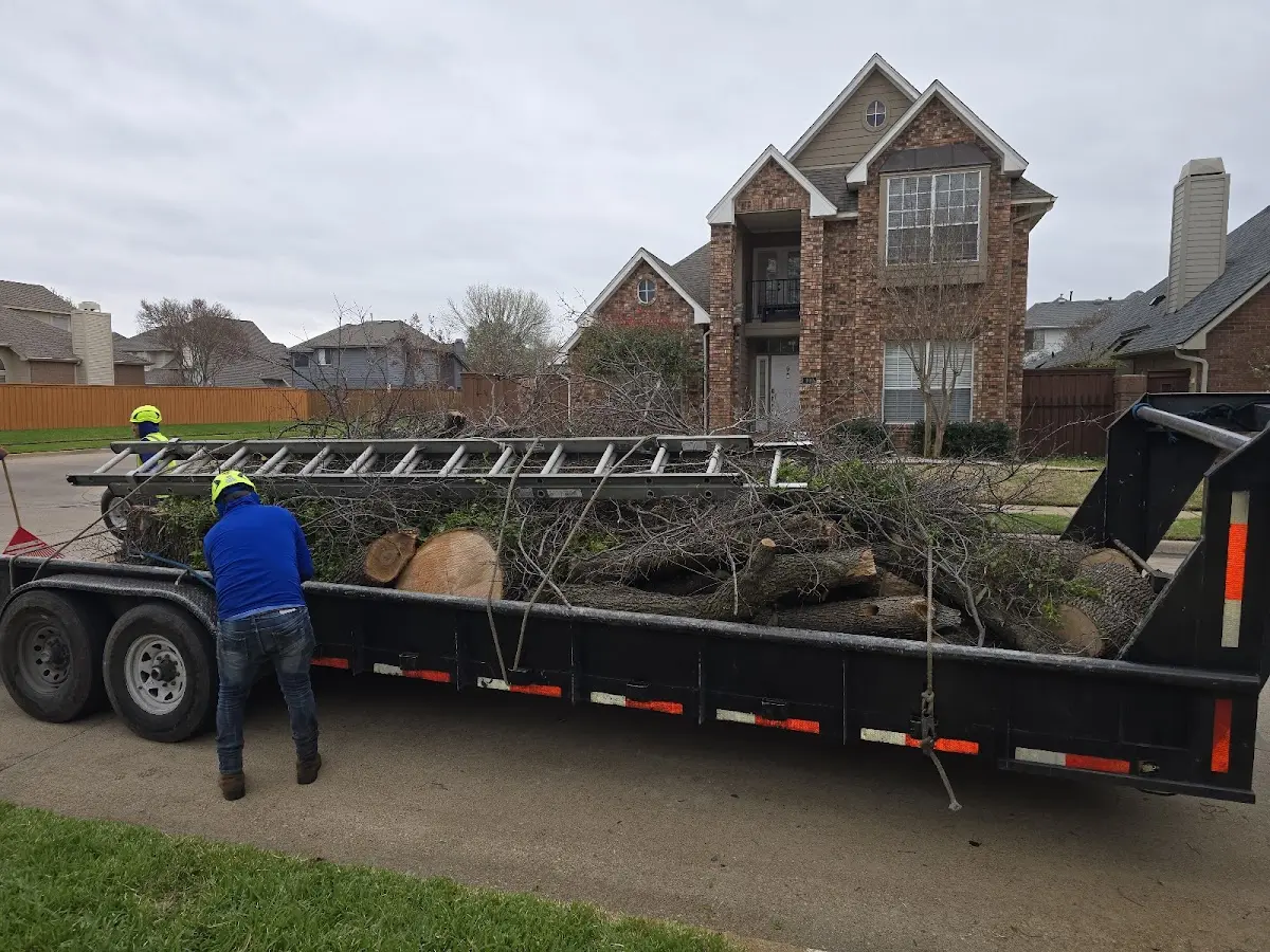 Expert Tree Pest Control with proper safety equipment in Stockdale